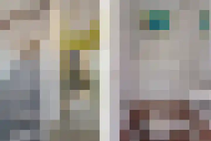 Arisstraat 3 Wormer thumbnail 7