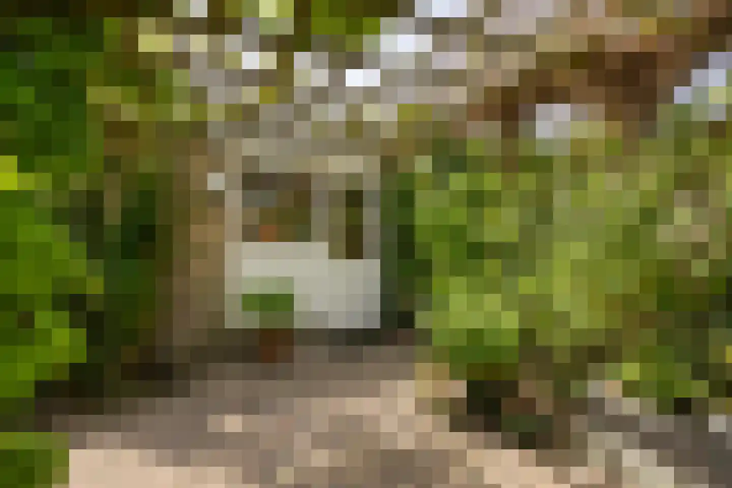 Arisstraat 30 Wormer thumbnail 33