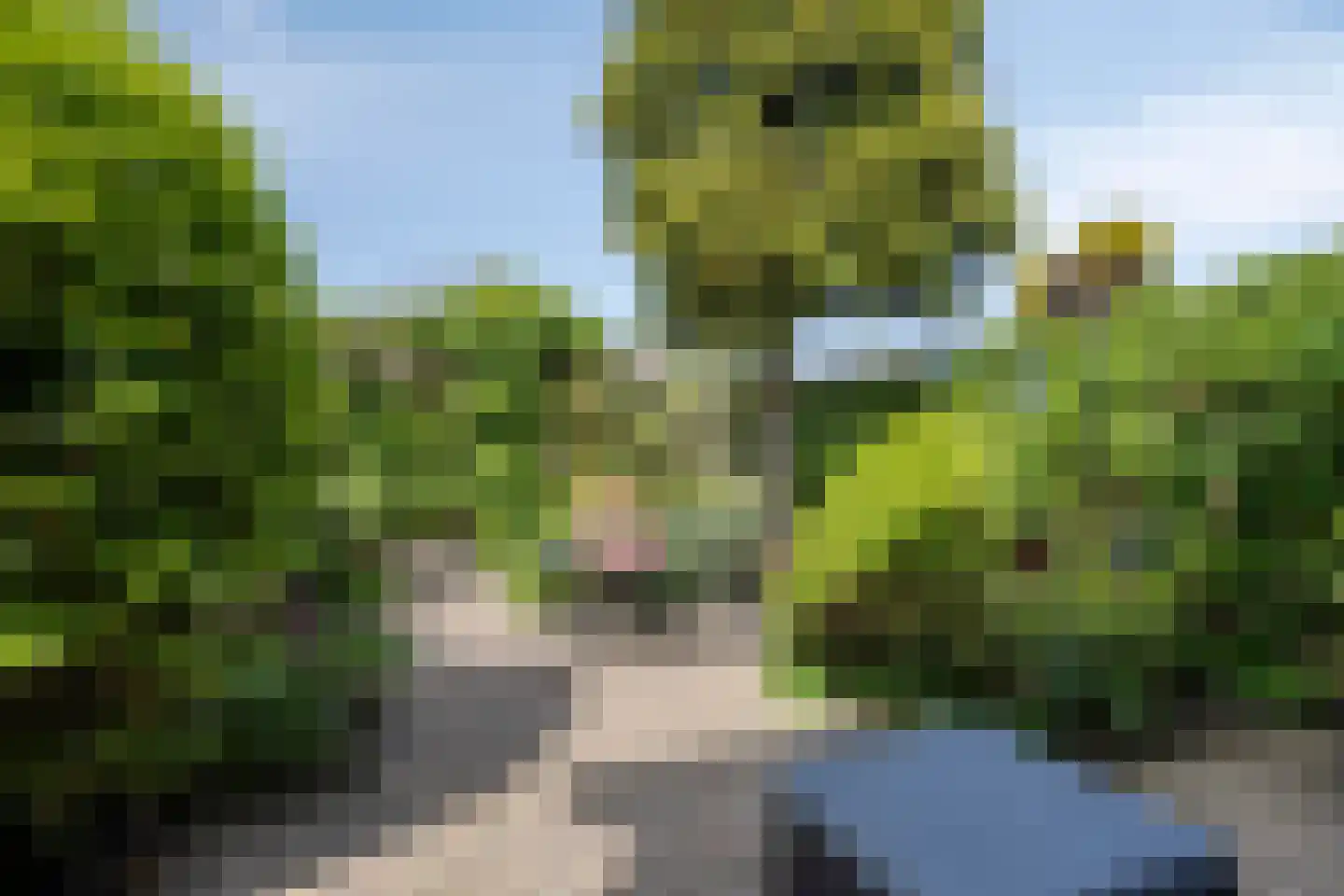 Arisstraat 30 Wormer thumbnail 4