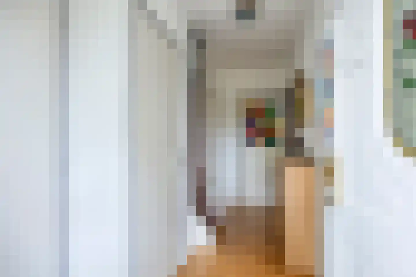 Arisstraat 30 Wormer thumbnail 6