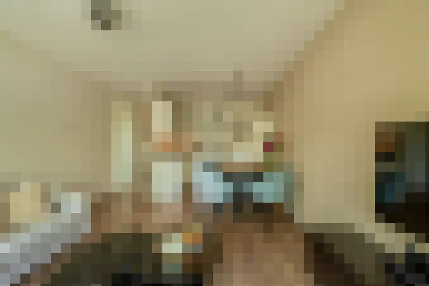 Arisstraat 60 Wormer thumbnail 14