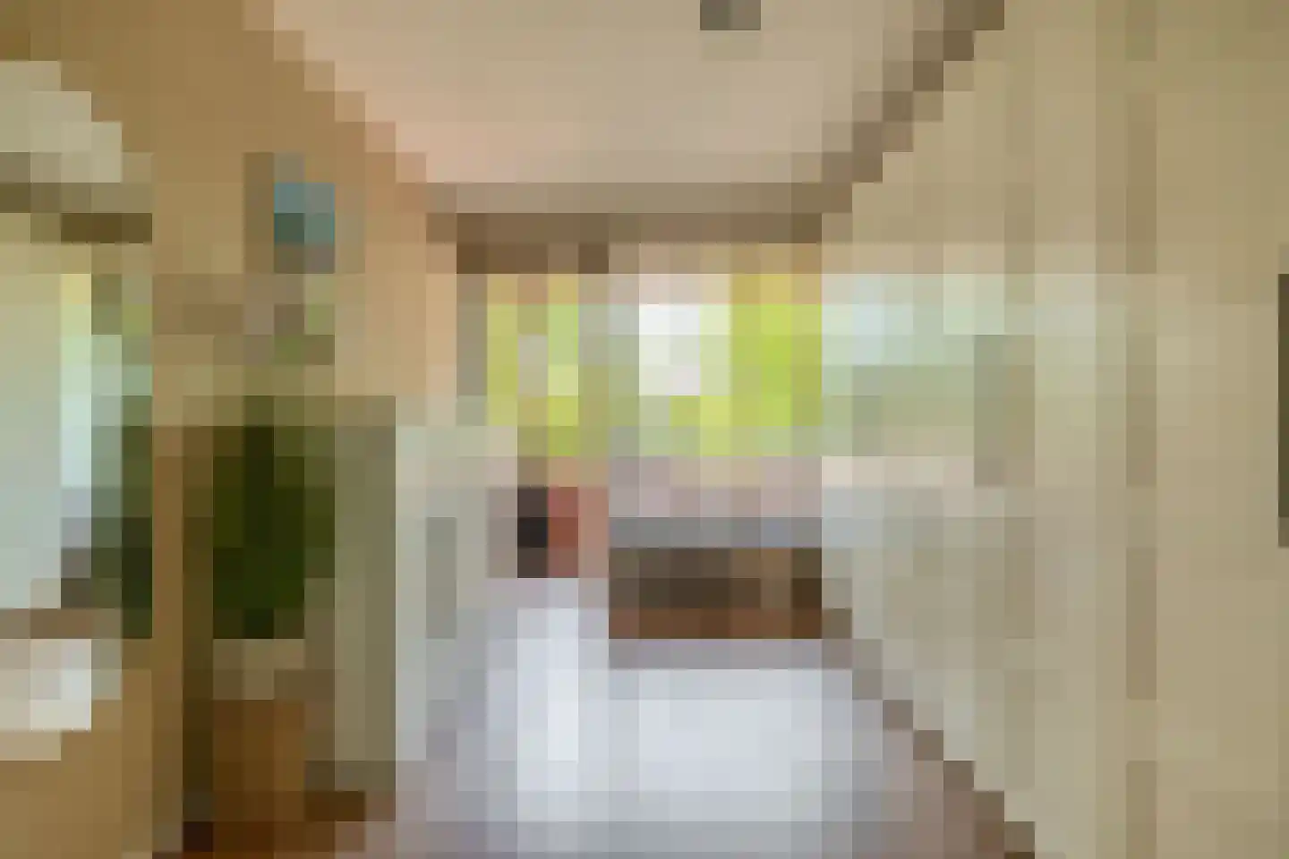 Arisstraat 60 Wormer thumbnail 16