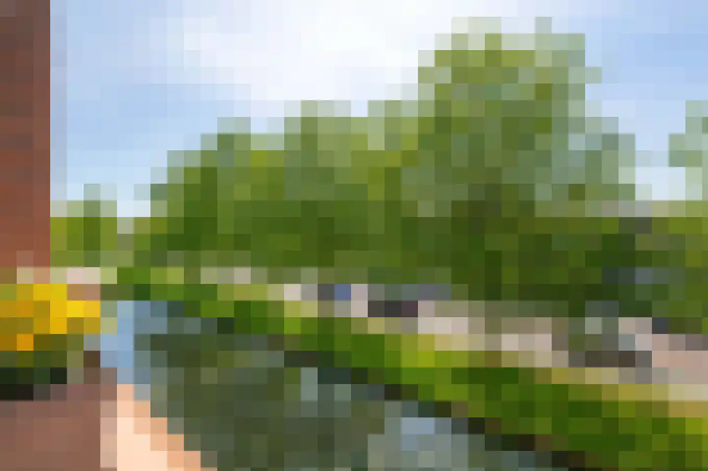 Arisstraat 60 Wormer thumbnail 18