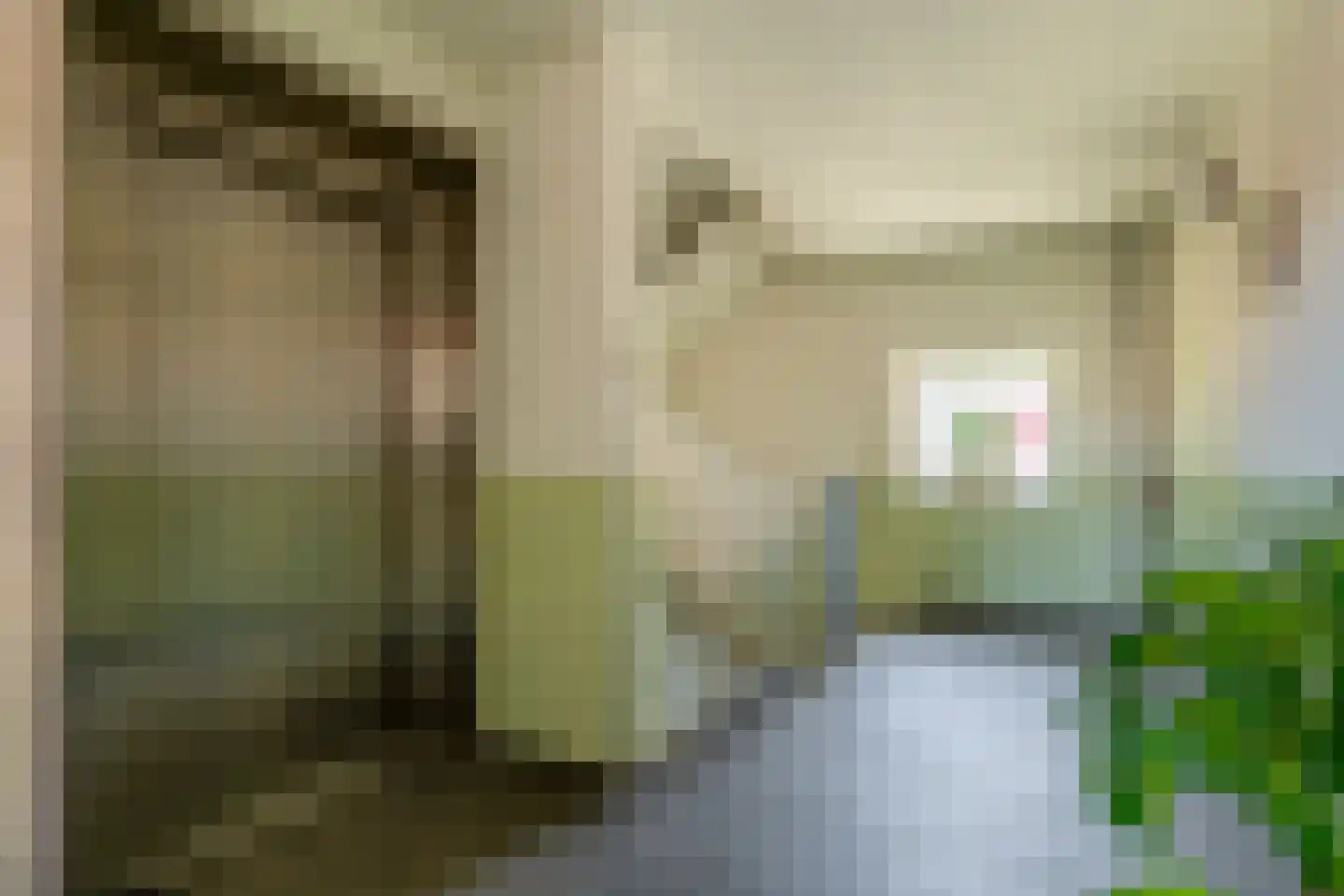 Arisstraat 60 Wormer thumbnail 32