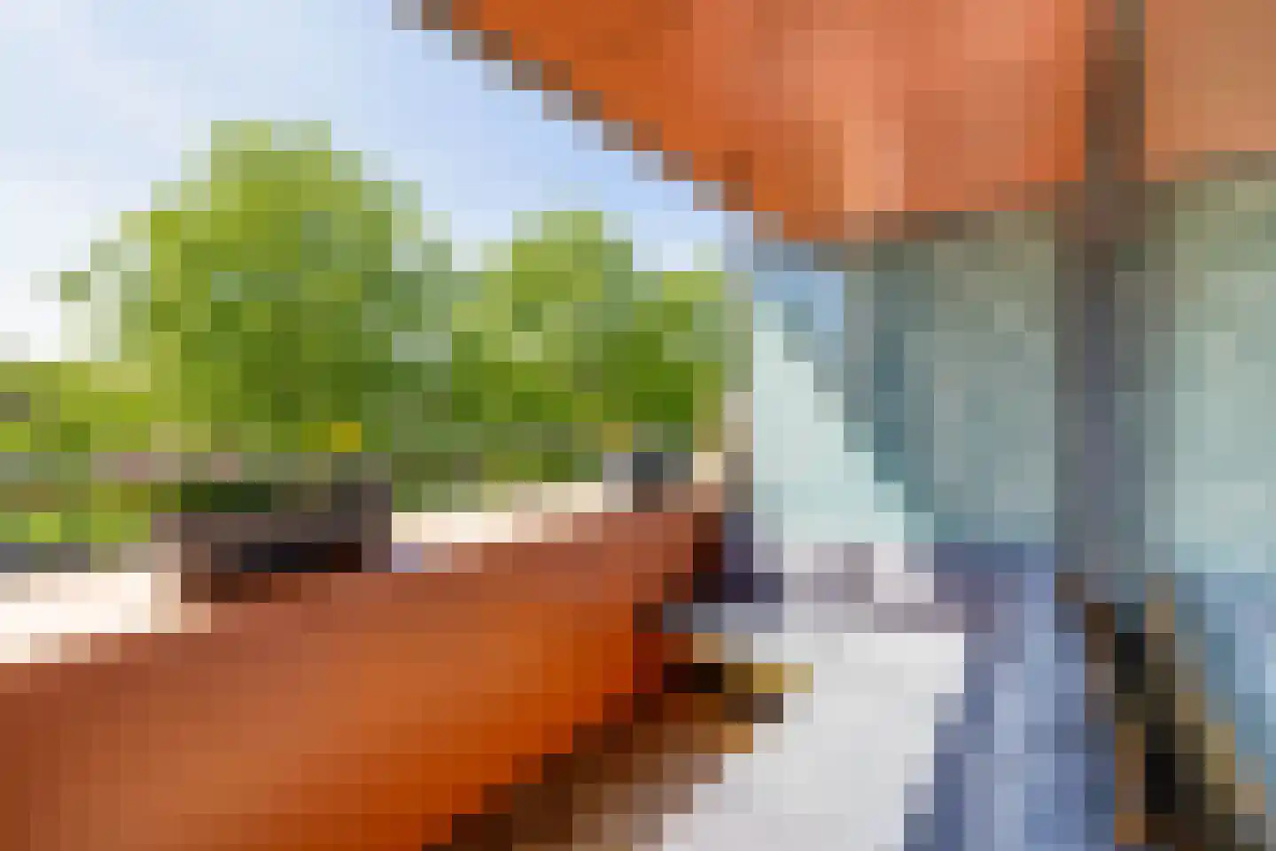Arisstraat 60 Wormer thumbnail 4