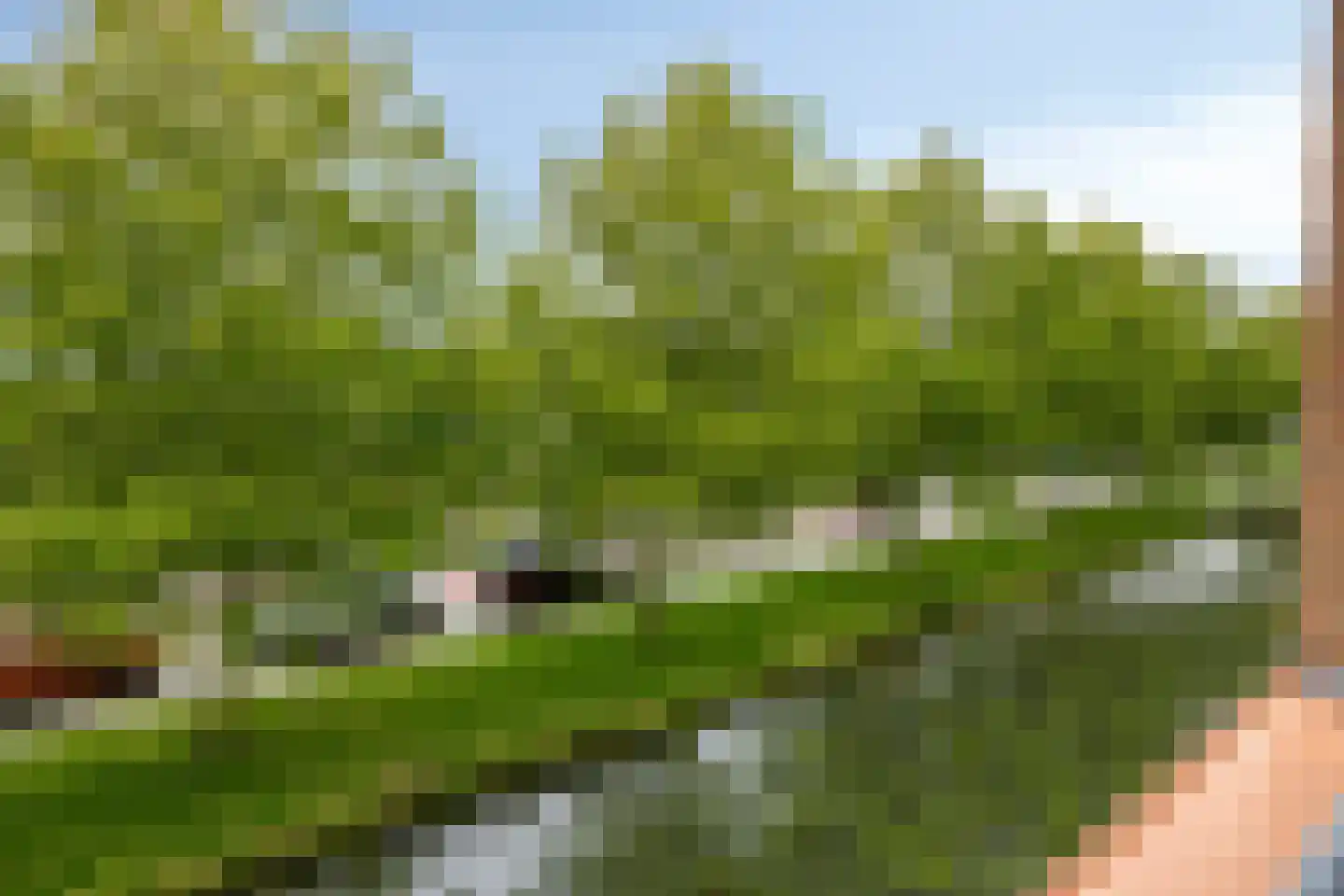 Arisstraat 62 Wormer thumbnail 20