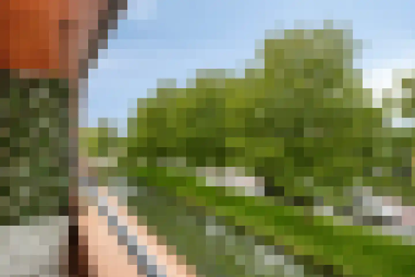 Arisstraat 62 Wormer thumbnail 21