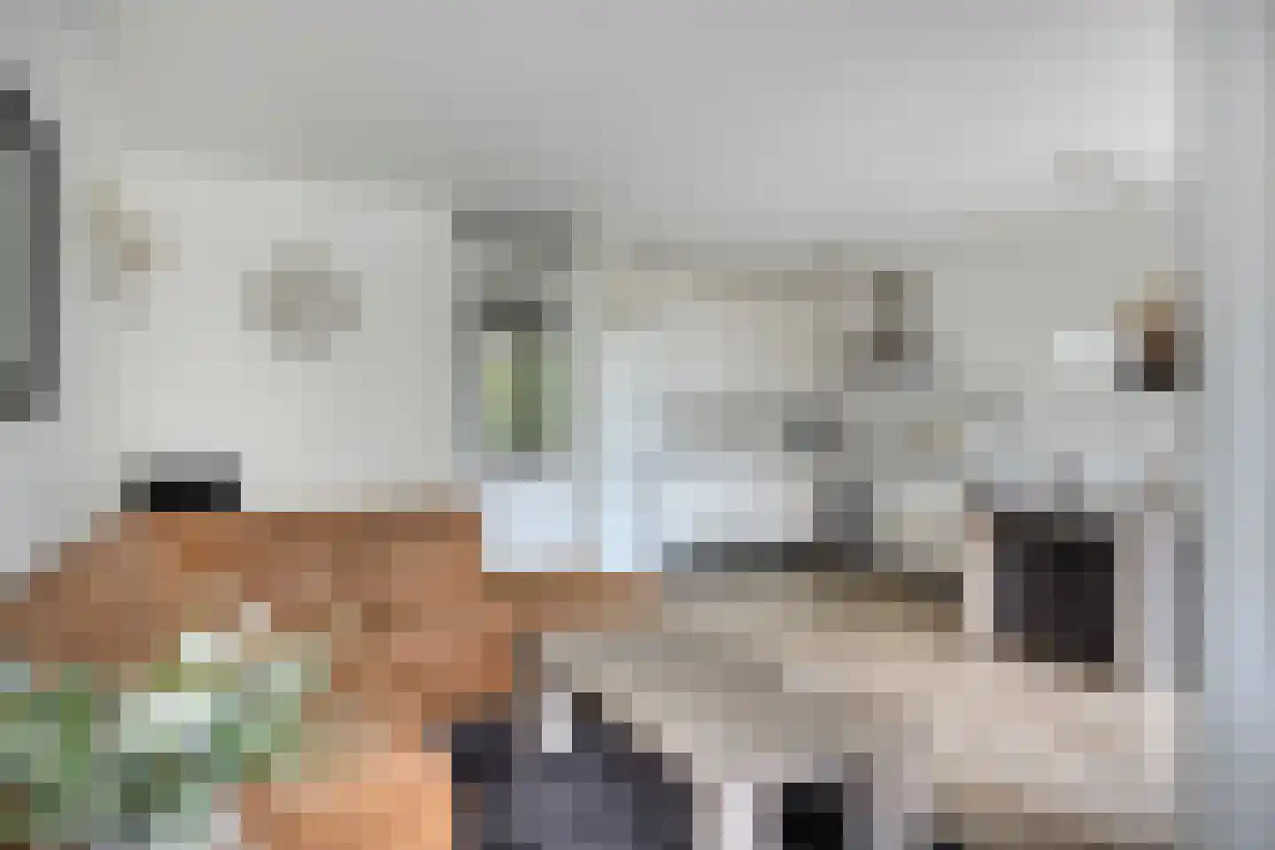 Arisstraat 62 Wormer thumbnail 7
