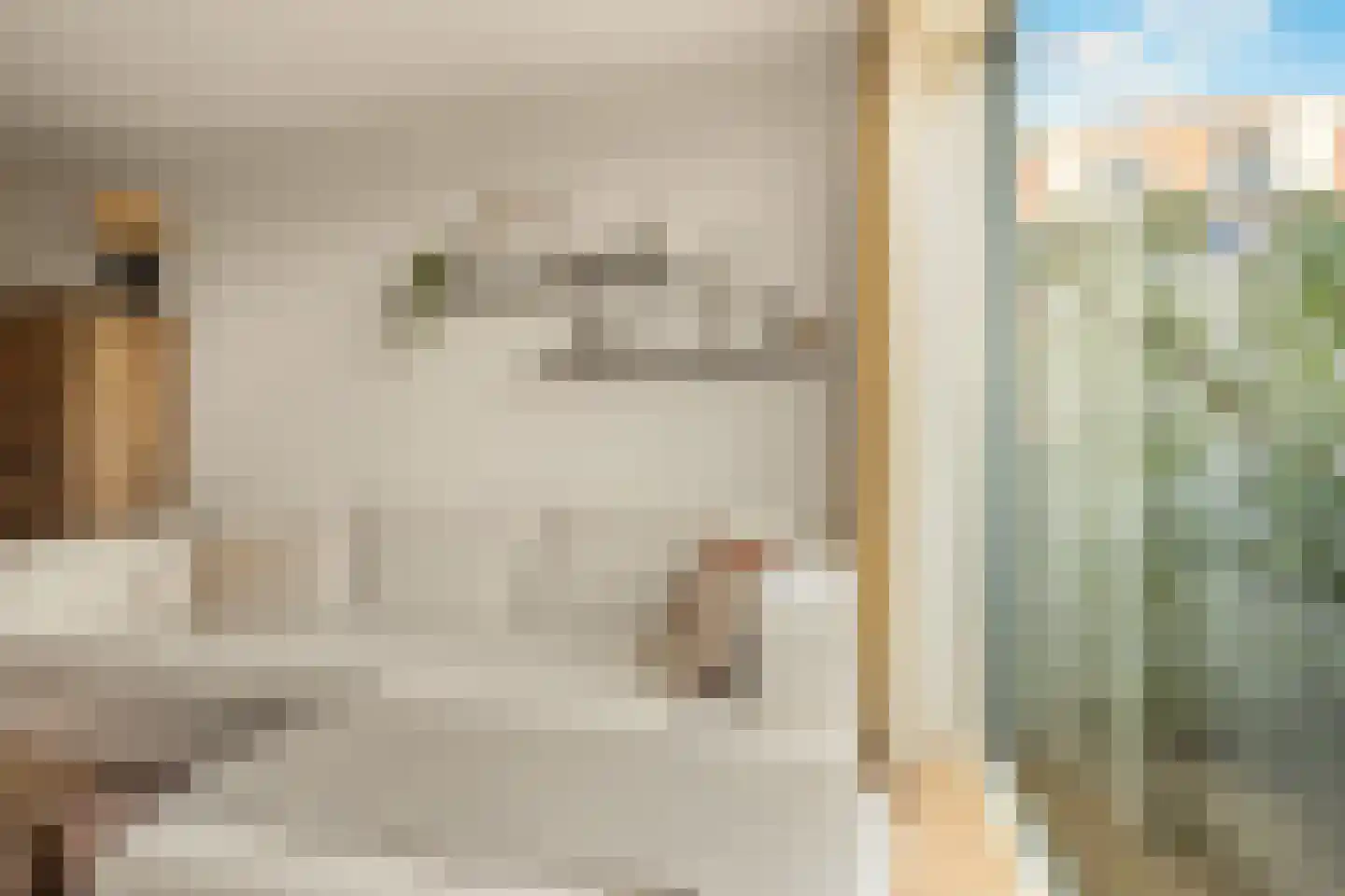 Arisstraat 70 Wormer thumbnail 10