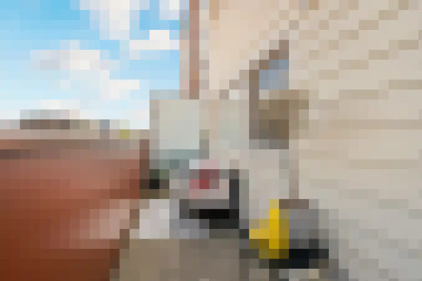 Arisstraat 70 Wormer thumbnail 13