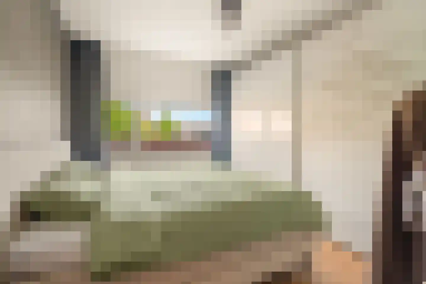 Arisstraat 70 Wormer thumbnail 18