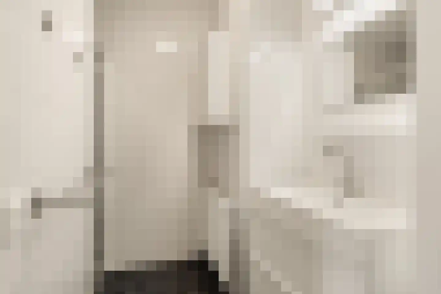 Arisstraat 70 Wormer thumbnail 20
