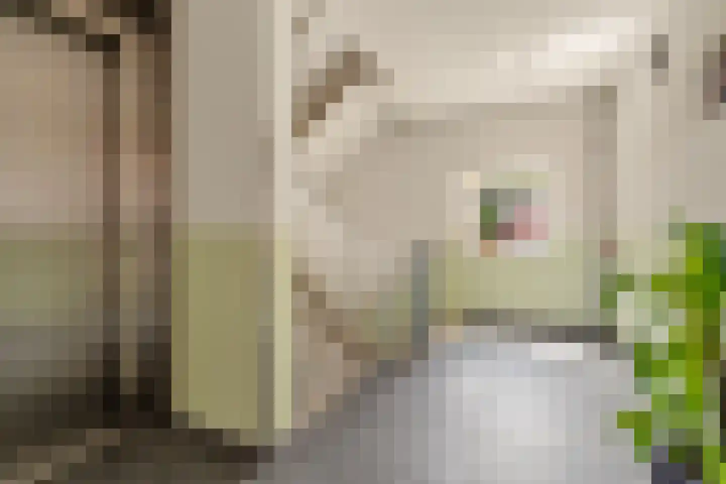 Arisstraat 70 Wormer thumbnail 23