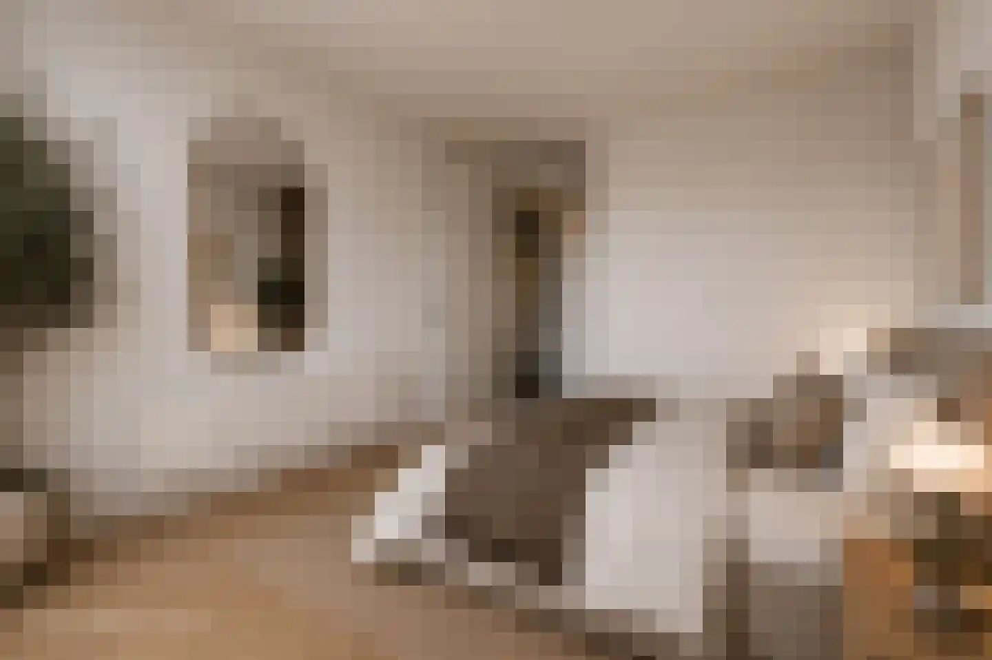Arisstraat 88 Wormer thumbnail 15