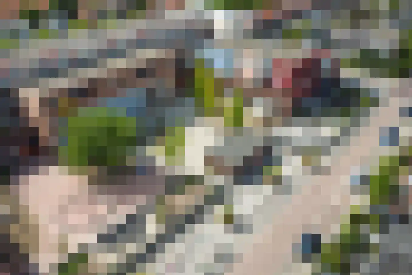 Arisstraat 88 Wormer thumbnail 30