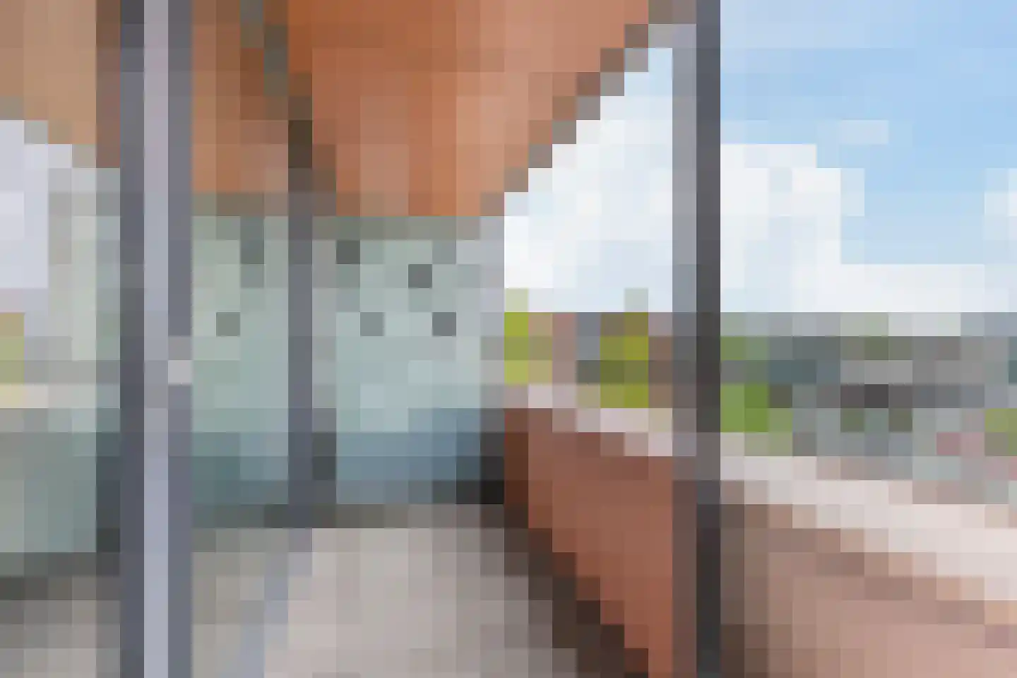 Arisstraat 88 Wormer thumbnail 9