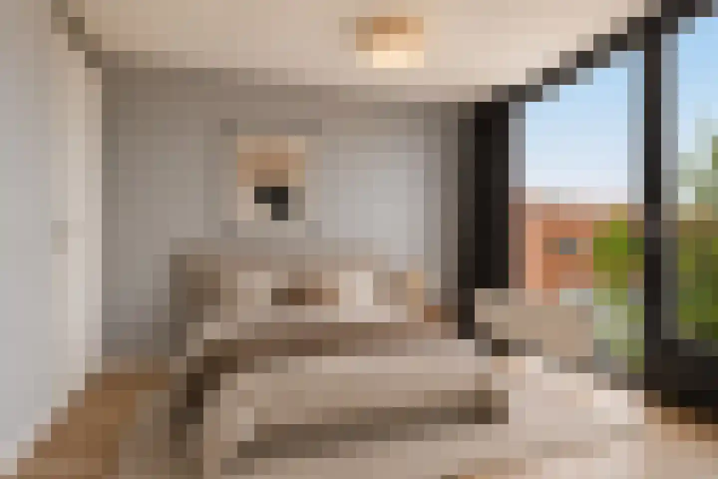 Arisstraat 98 Wormer thumbnail 15