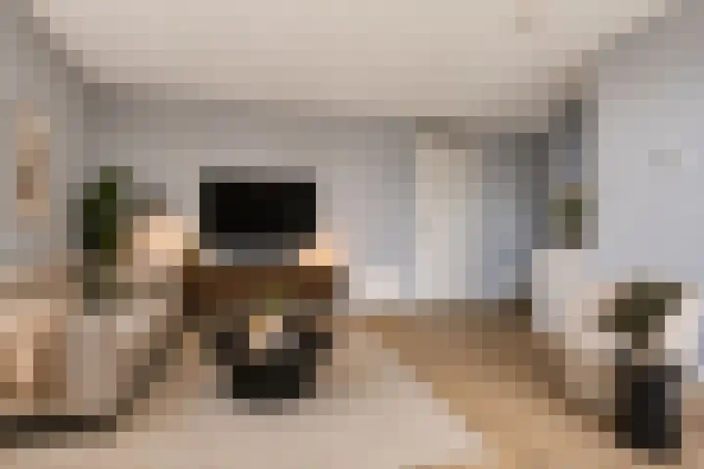Arisstraat 98 Wormer thumbnail 6