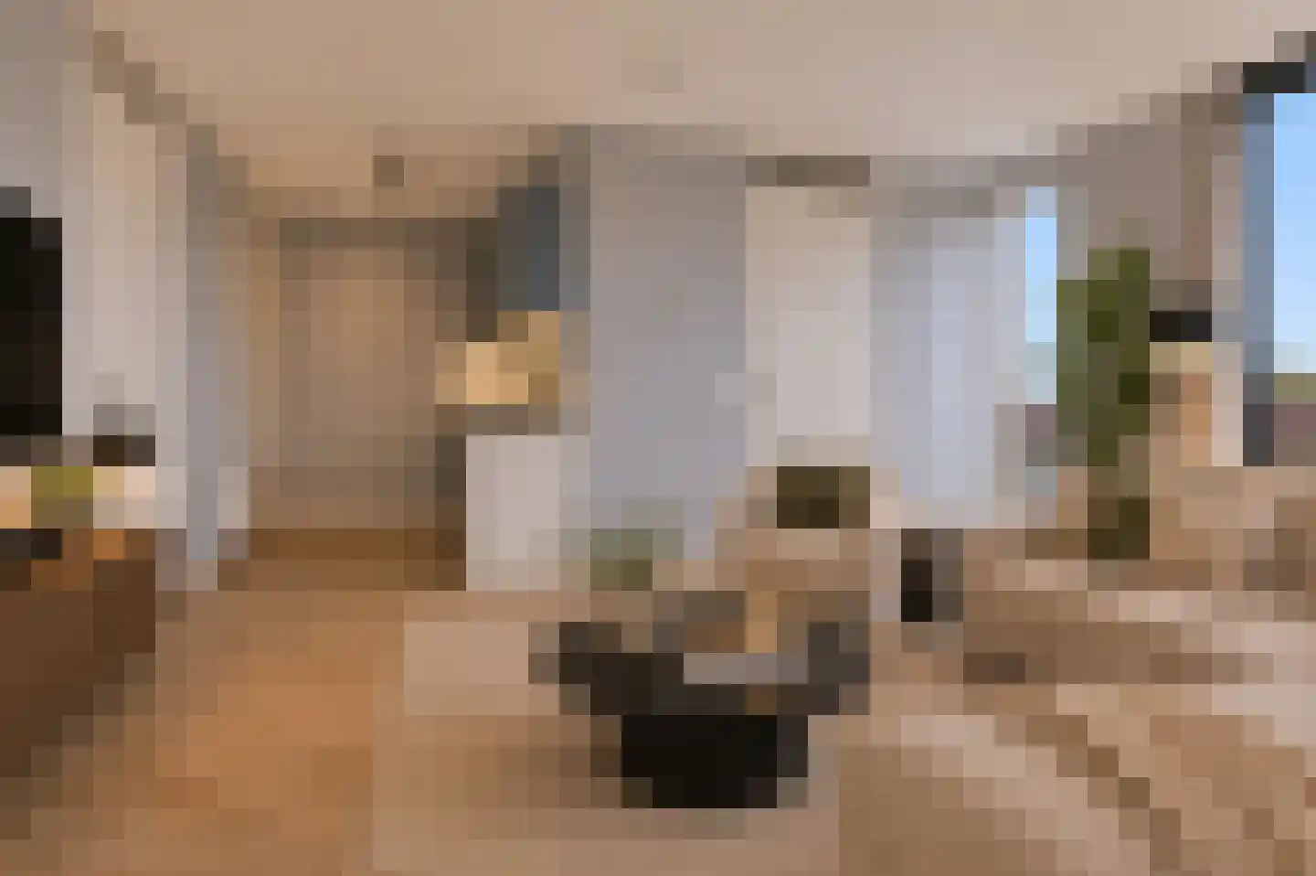 Arisstraat 98 Wormer thumbnail 8