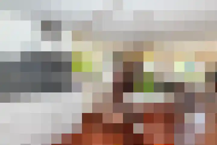 Aristide Briandring 7 Vlaardingen thumbnail 23
