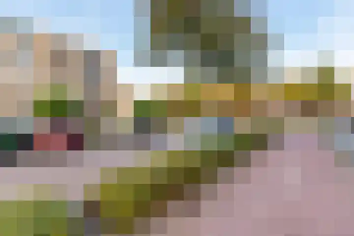 Aristide Briandring 7 Vlaardingen thumbnail 35