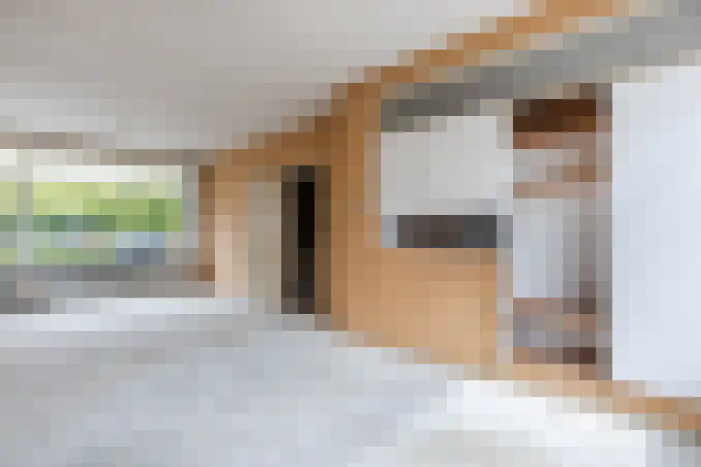 Aristide Briandstraat 12 Diemen thumbnail 13