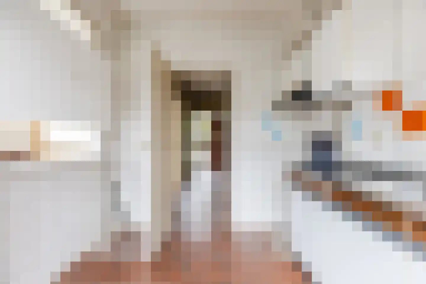 Aristide Briandstraat 12 Diemen thumbnail 8