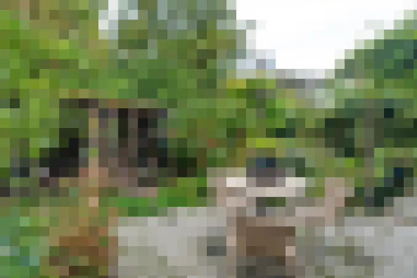 Aristide Briandstraat 3 Diemen thumbnail 18