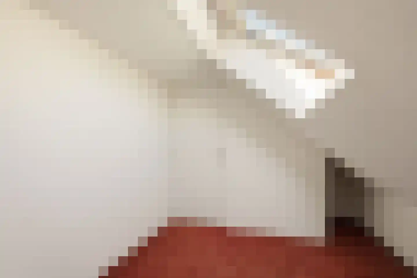 Aristide Briandstraat 34 Diemen thumbnail 21