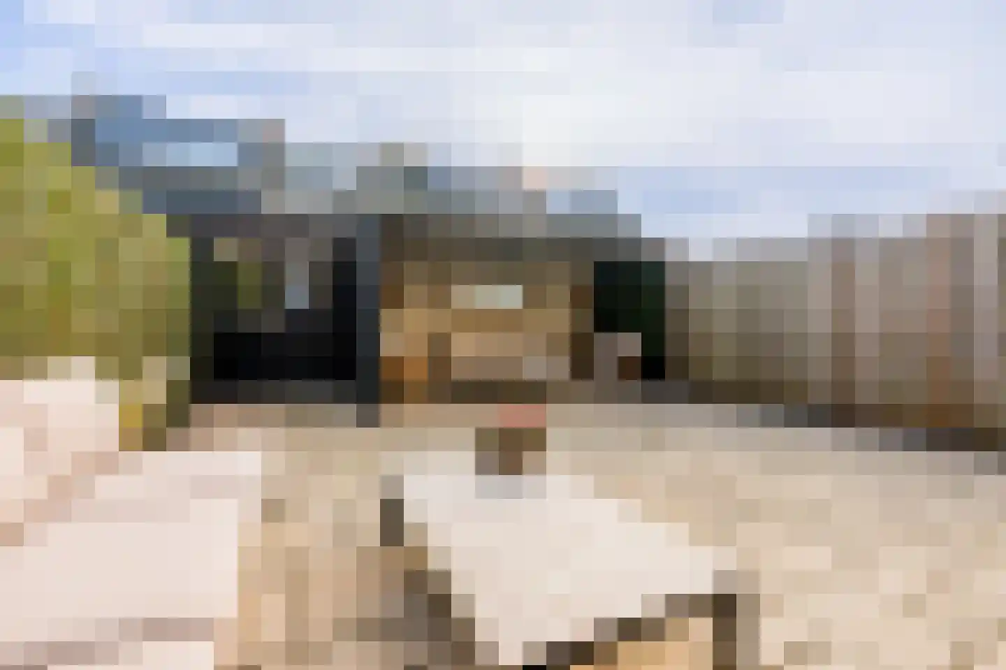 Aristide Briandstraat 35 Diemen thumbnail 38