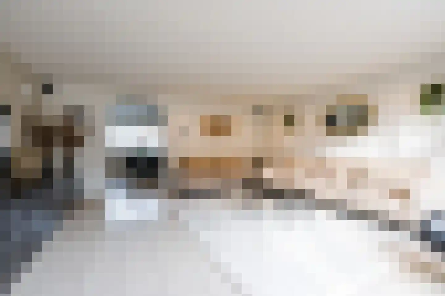 Aristide Briandstraat 35 Diemen thumbnail 8