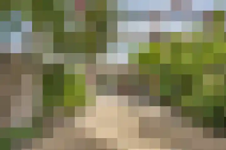 Aristide Briandstraat 52 Diemen thumbnail 8