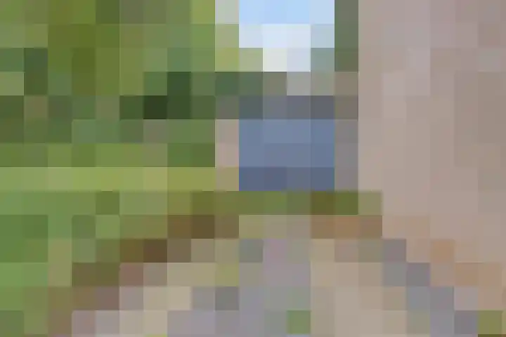 Aristoteleshof 35 Arnhem thumbnail 21