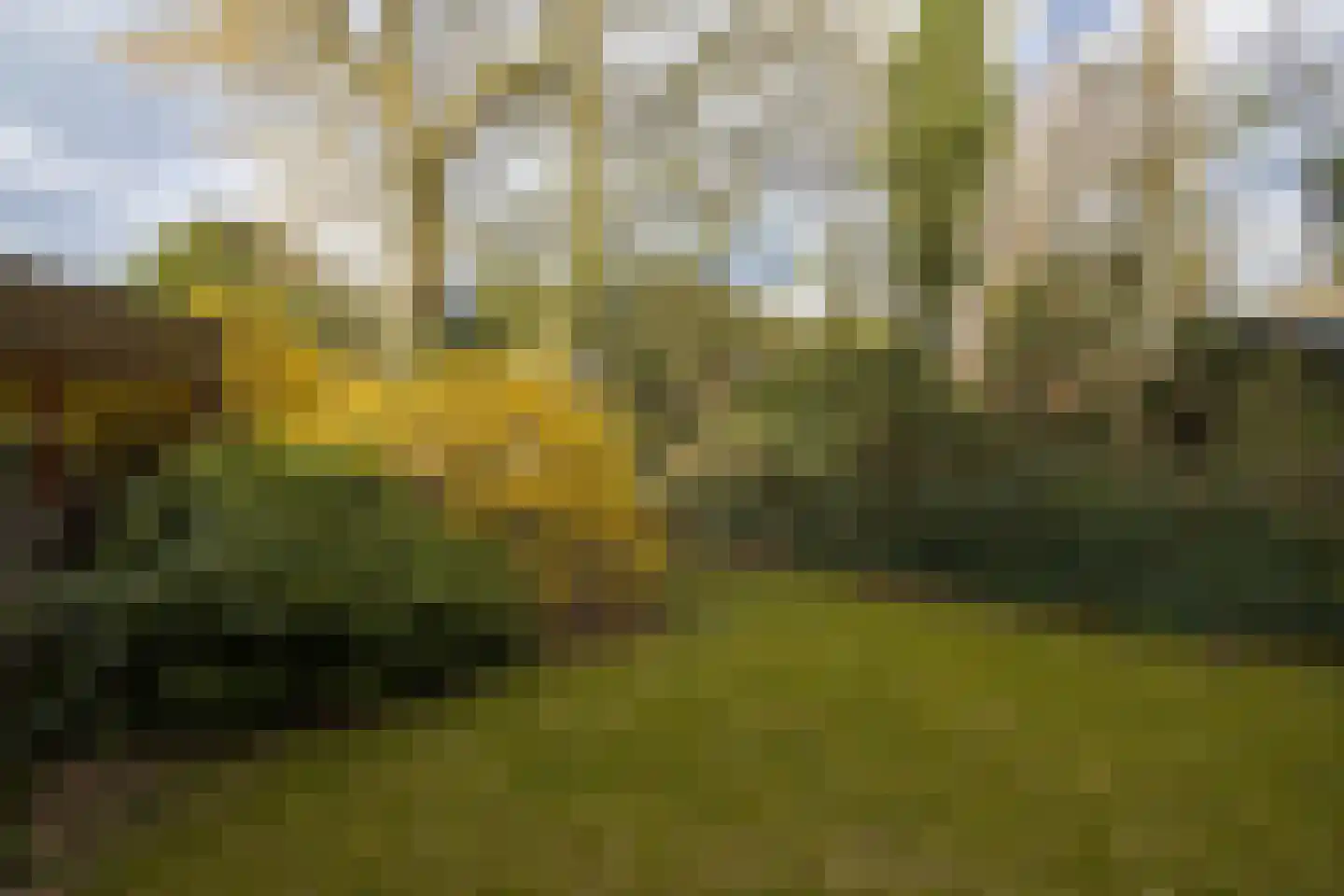 Aristoteleslaan 2 Zeist thumbnail 23