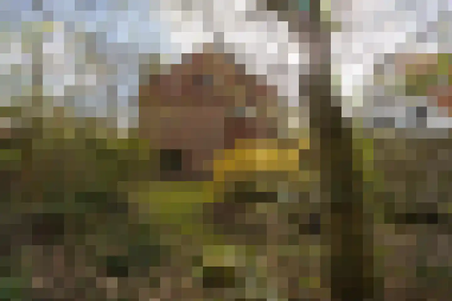 Aristoteleslaan 2 Zeist thumbnail 27