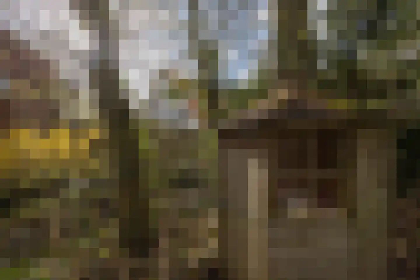 Aristoteleslaan 2 Zeist thumbnail 28