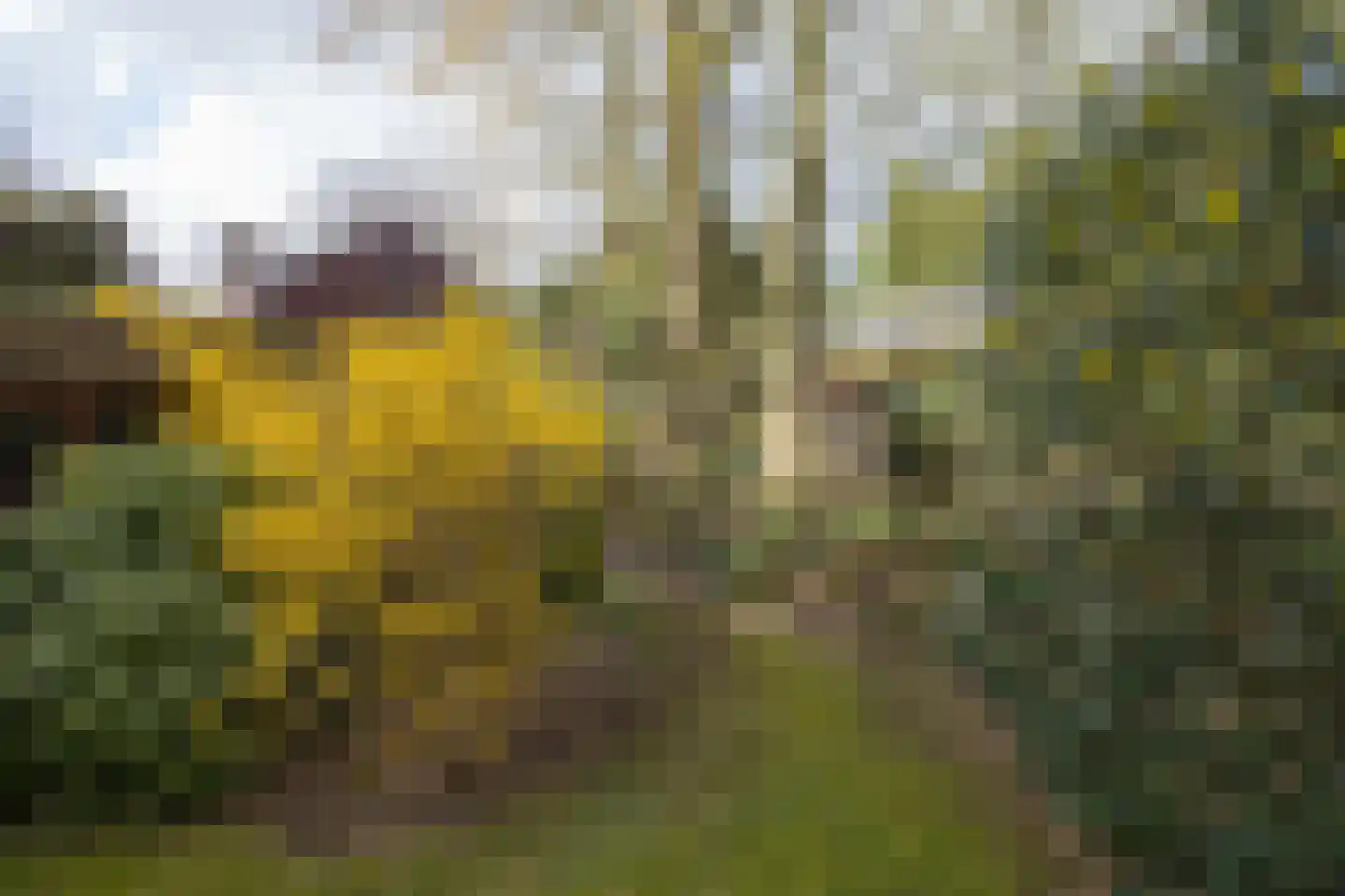 Aristoteleslaan 2 Zeist thumbnail 29