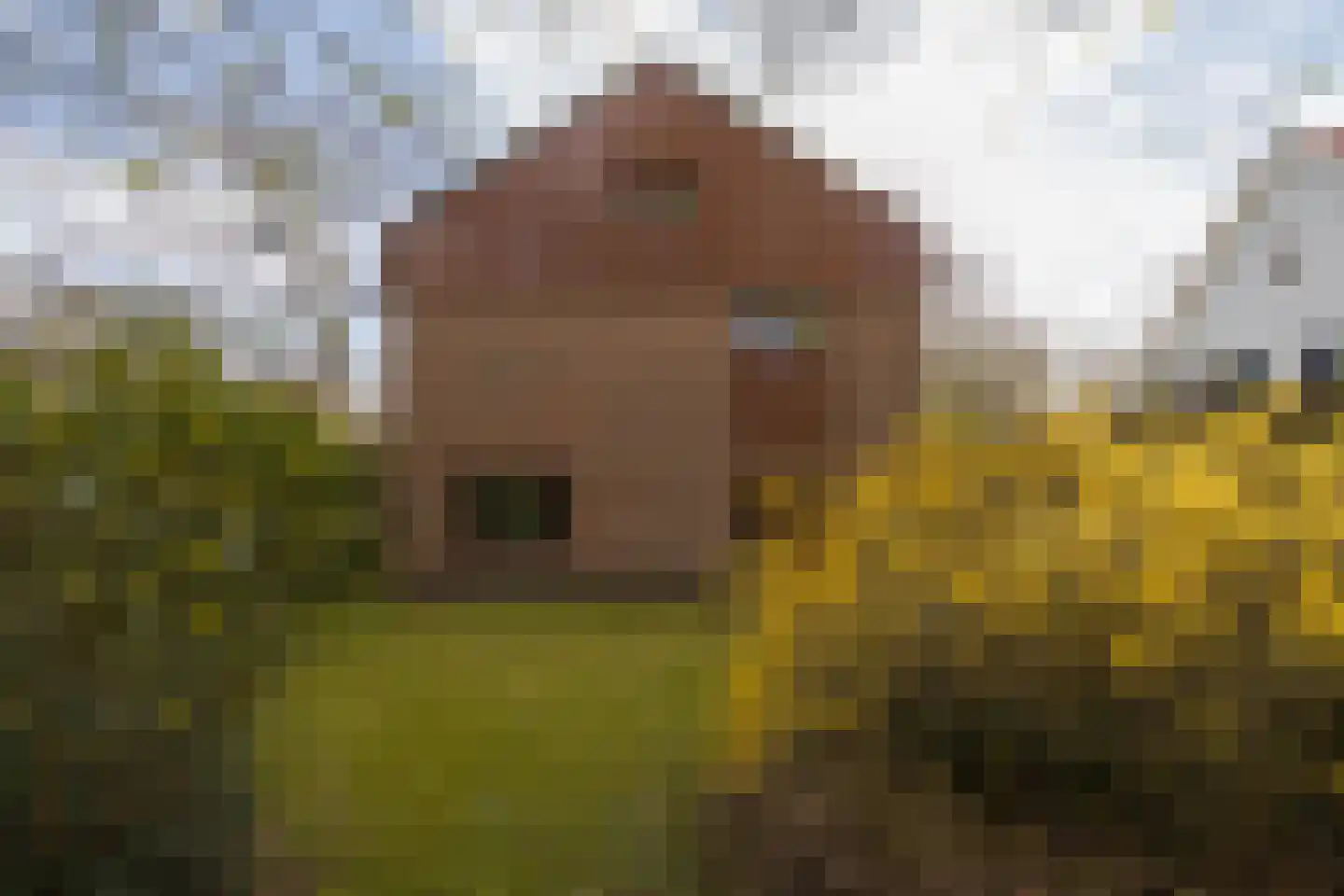 Aristoteleslaan 2 Zeist thumbnail 30