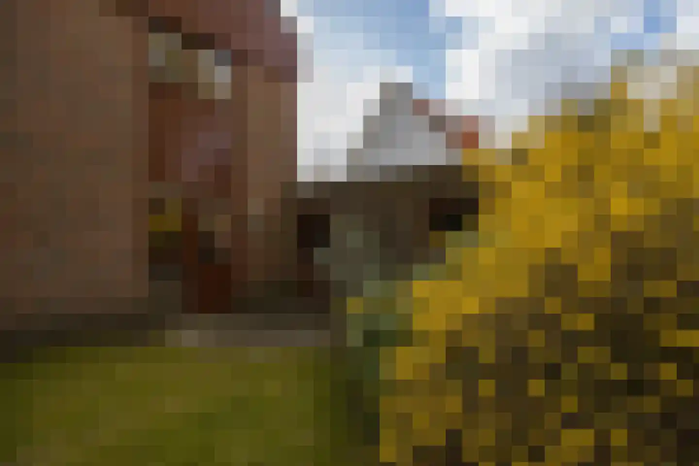 Aristoteleslaan 2 Zeist thumbnail 31