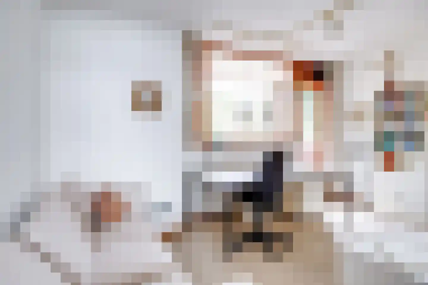 Aristoteleslaan 2 Zeist thumbnail 37