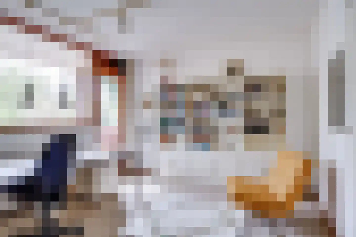 Aristoteleslaan 2 Zeist thumbnail 38