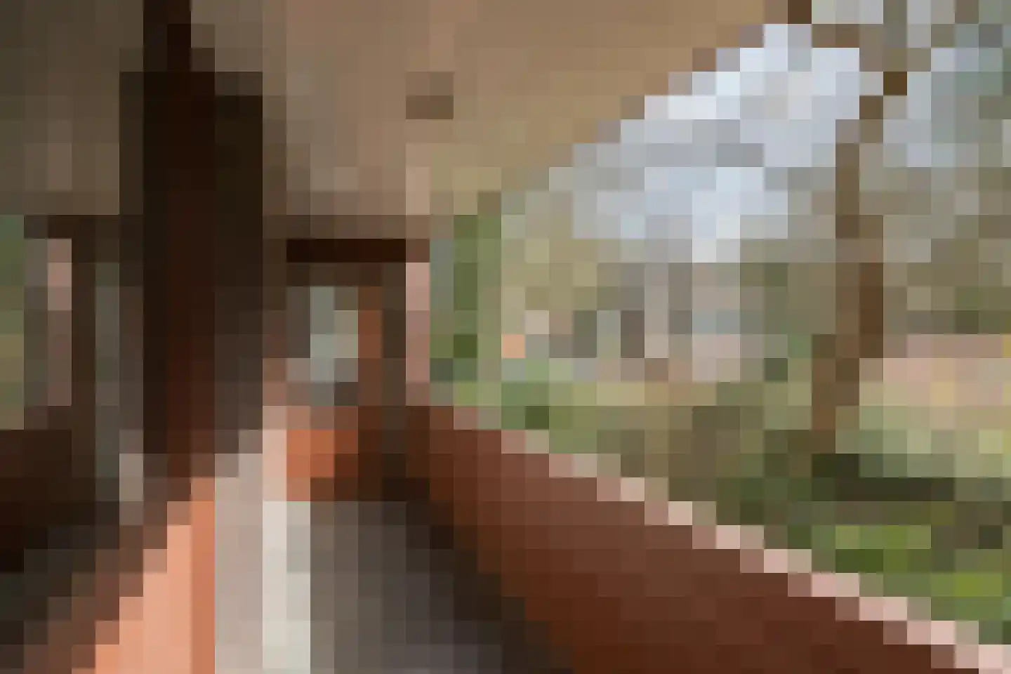 Aristoteleslaan 2 Zeist thumbnail 46