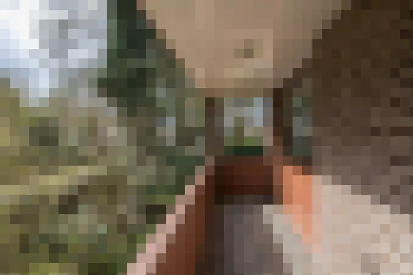 Aristoteleslaan 2 Zeist thumbnail 47