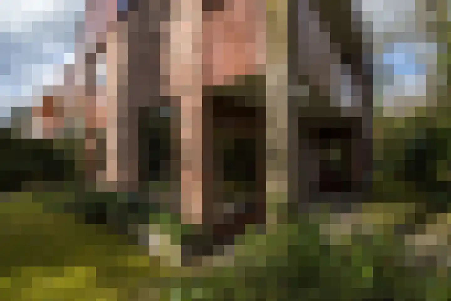 Aristoteleslaan 2 Zeist thumbnail 6