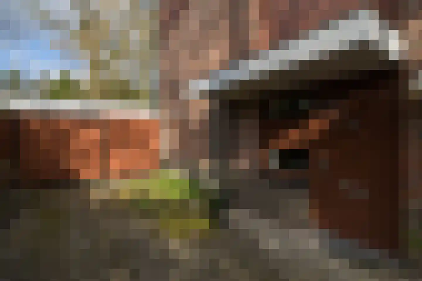 Aristoteleslaan 2 Zeist thumbnail 64