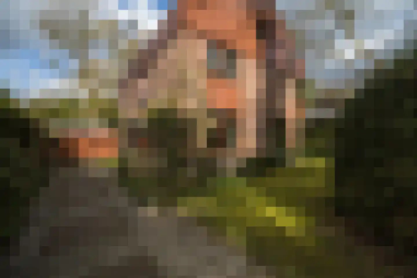 Aristoteleslaan 2 Zeist thumbnail 66