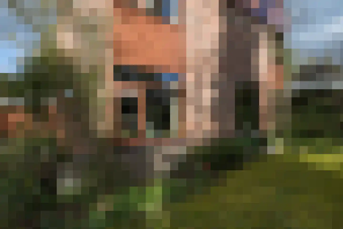 Aristoteleslaan 2 Zeist thumbnail 67