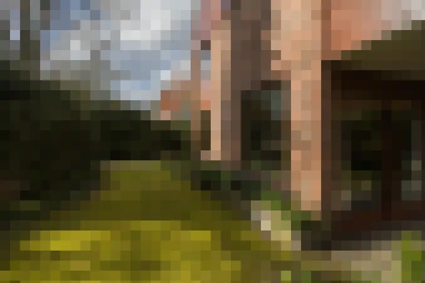 Aristoteleslaan 2 Zeist thumbnail 68