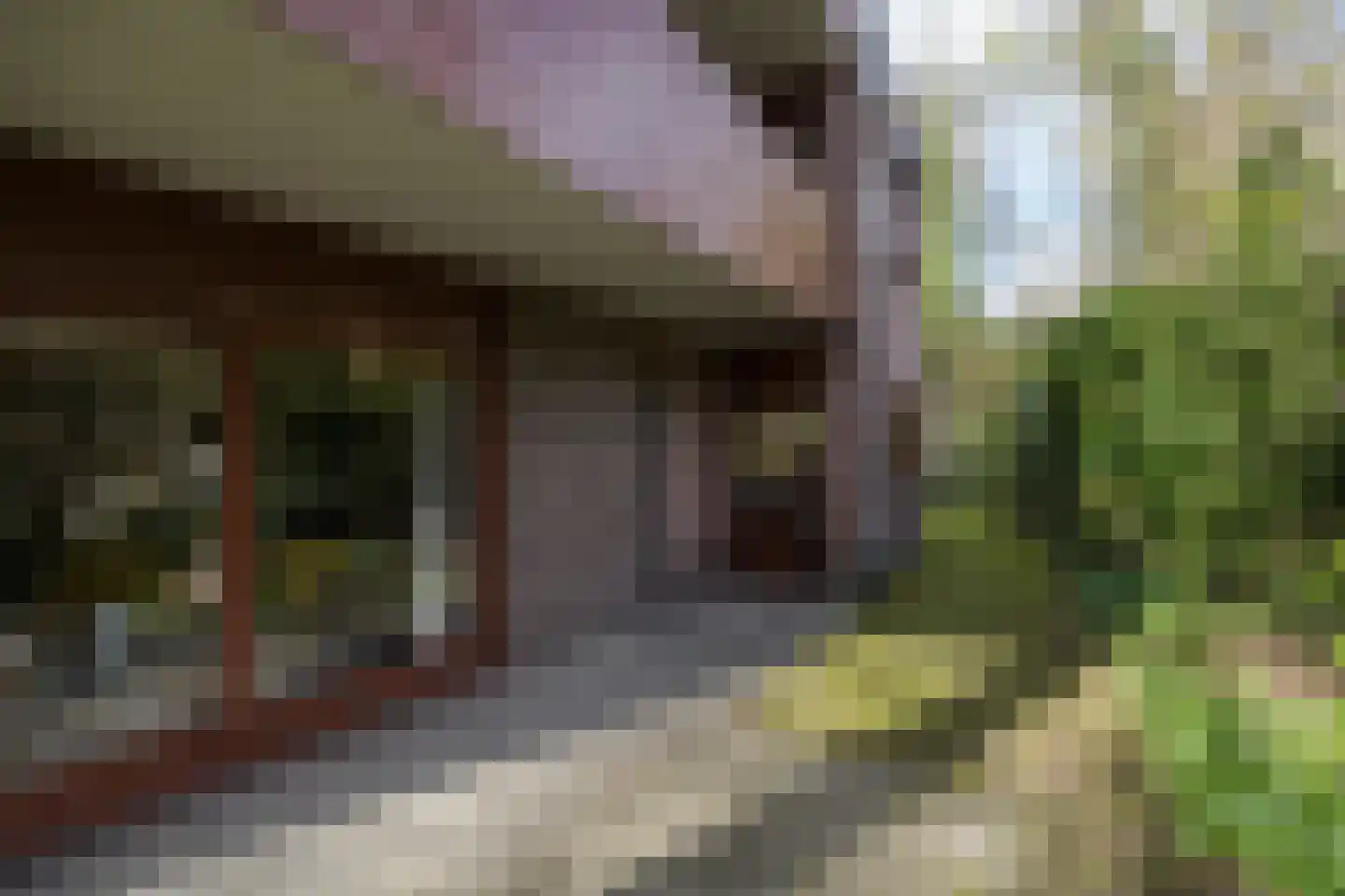 Aristoteleslaan 2 Zeist thumbnail 69