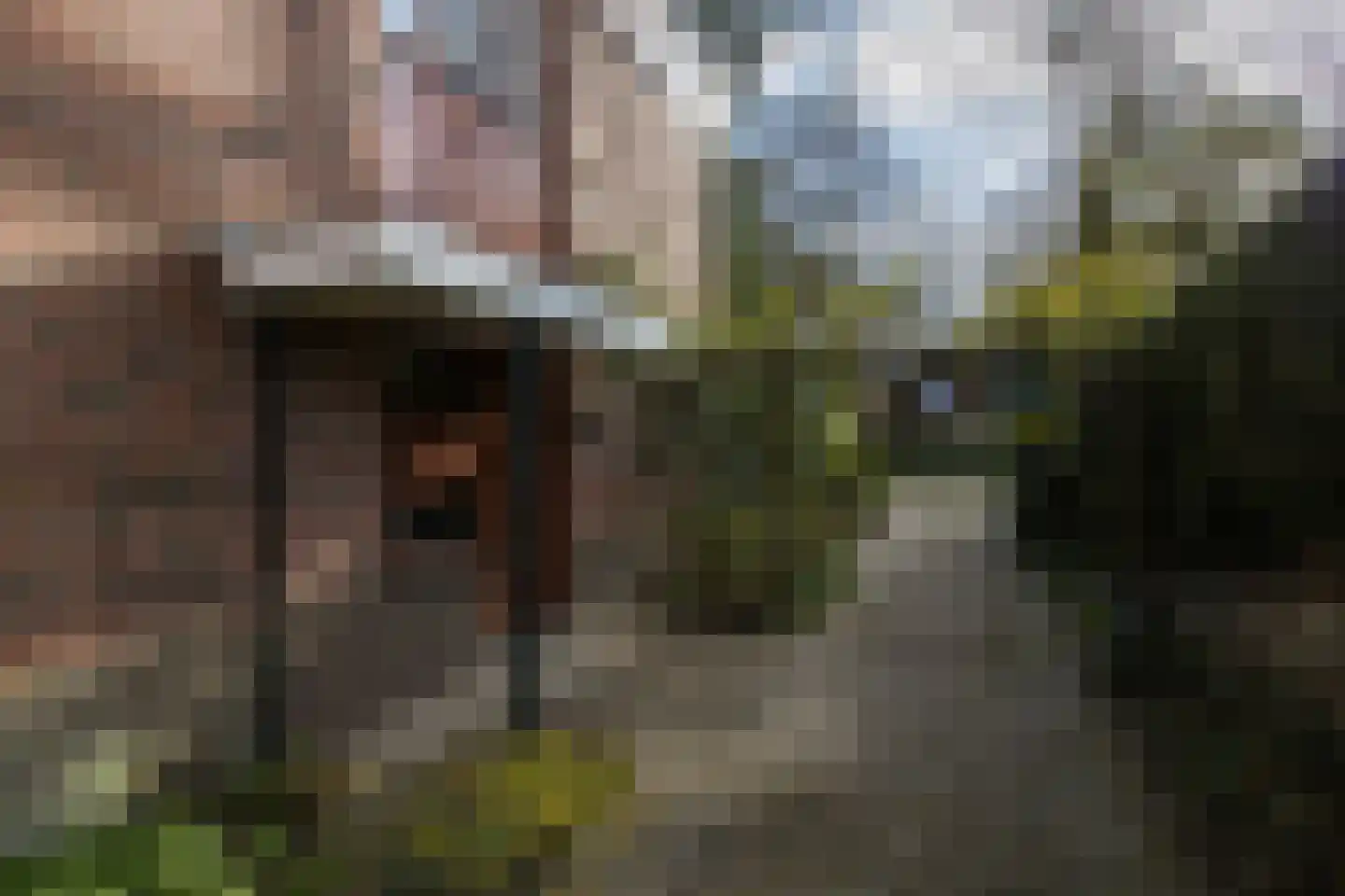 Aristoteleslaan 2 Zeist thumbnail 7